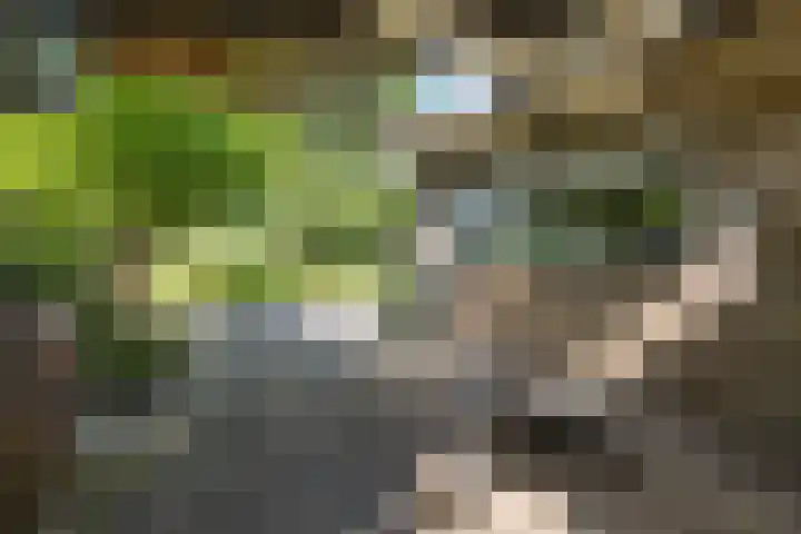 Iemingecamp 5 Emmen thumbnail 40