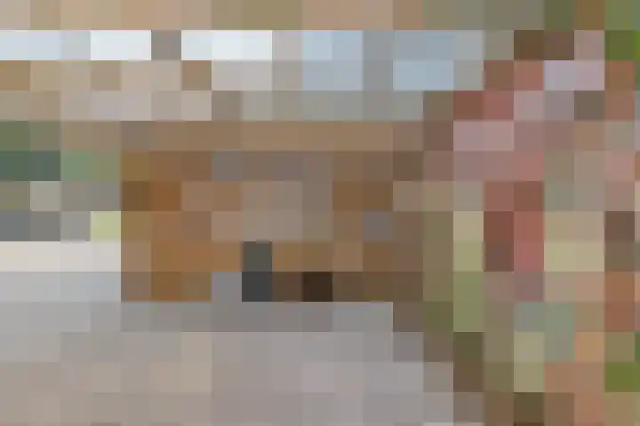 Iemingecamp 5 Emmen thumbnail 42