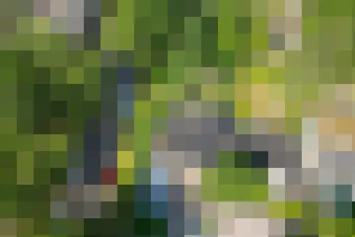 Iemingecamp 5 Emmen thumbnail 43