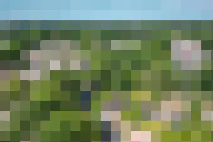 Iemingecamp 5 Emmen thumbnail 44