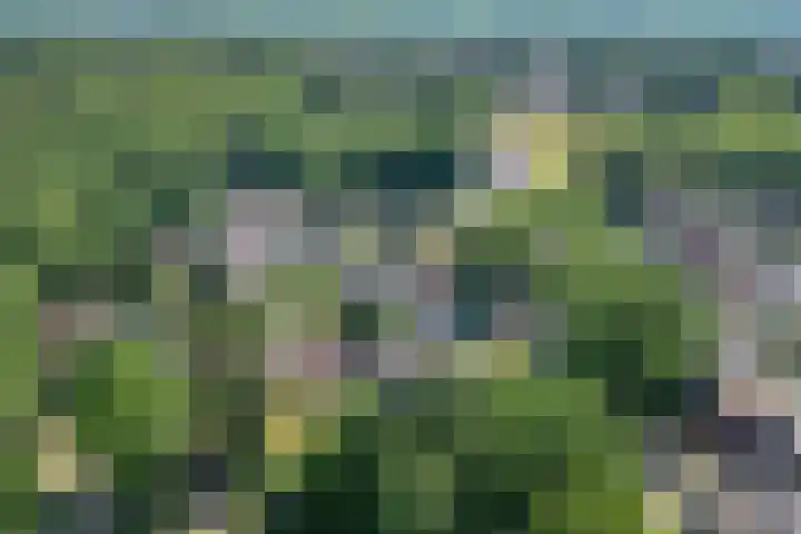 Iemingecamp 5 Emmen thumbnail 45
