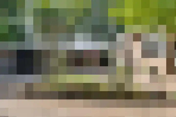 Iemingecamp 5 Emmen thumbnail 5