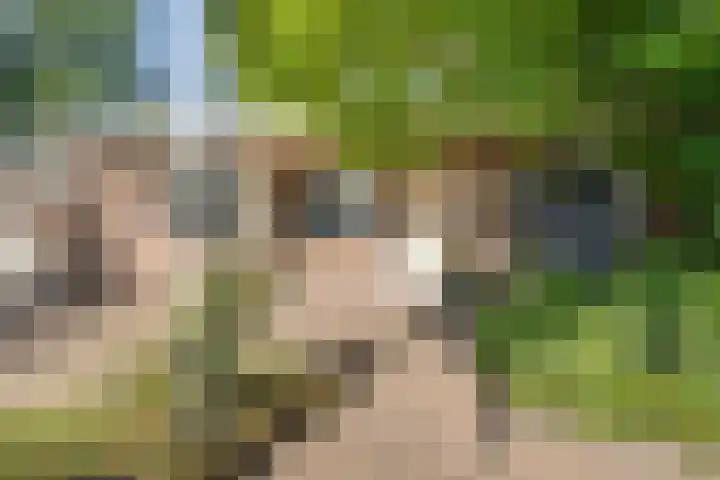 Iemingecamp 5 Emmen thumbnail 6