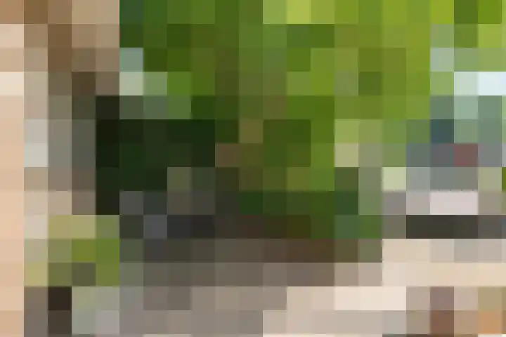 Iemingecamp 5 Emmen thumbnail 7