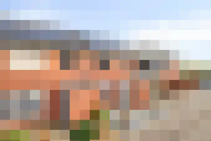Iemkerpad 11 Emmen thumbnail 9