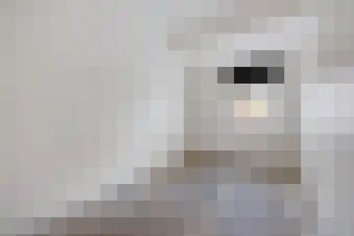 Iemkerpad 14 Emmen thumbnail 12