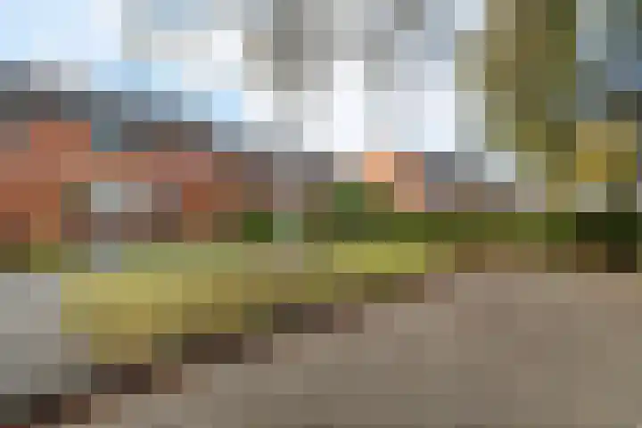 Iemkerpad 14 Emmen thumbnail 20