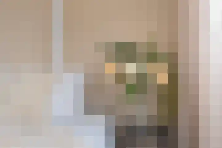 Iemschoer 9 Emmen thumbnail 30