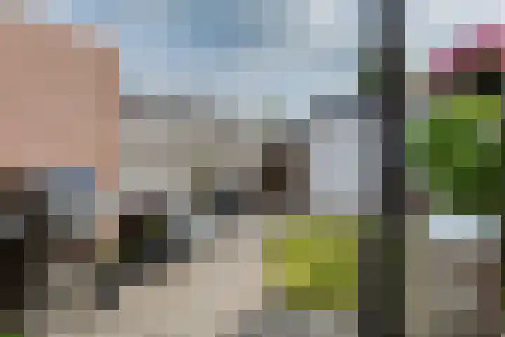 Iemschoer 9 Emmen thumbnail 37