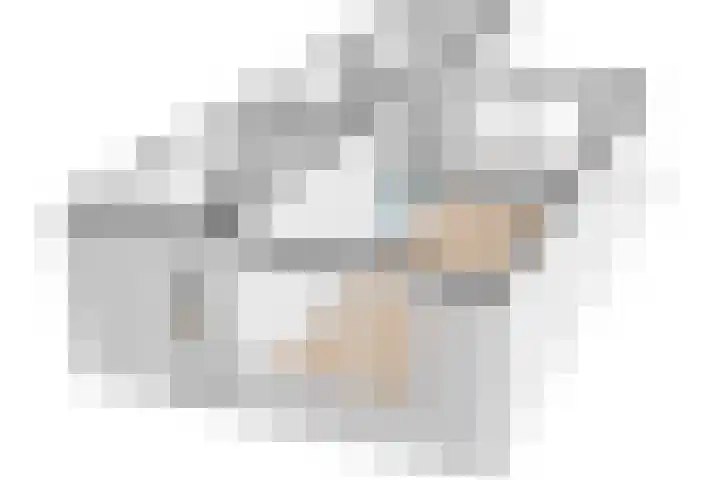 Iemschoer 9 Emmen thumbnail 43