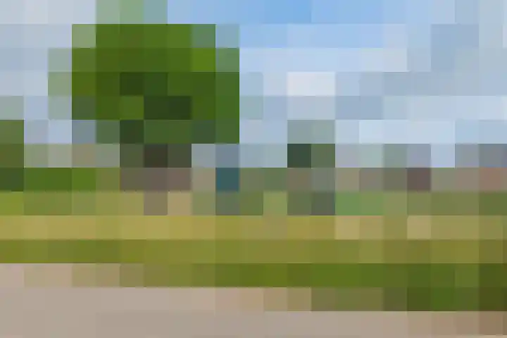 Iemschoer 9 Emmen thumbnail 5