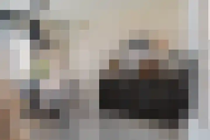 Iemschoer 9 Emmen thumbnail 9