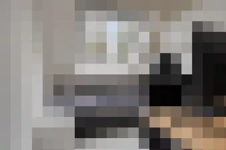 Iemstukken 104 Assen thumbnail 22