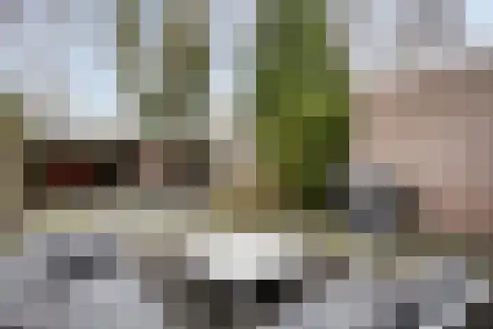 Iemstukken 104 Assen thumbnail 29