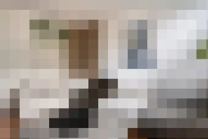 Iemstukken 104 Assen thumbnail 5
