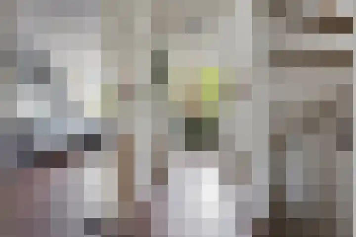 Iemstukken 140 Assen thumbnail 19