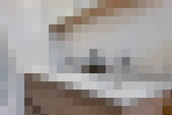 Iemstukken 140 Assen thumbnail 24