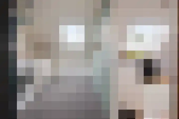 Iemstukken 140 Assen thumbnail 31