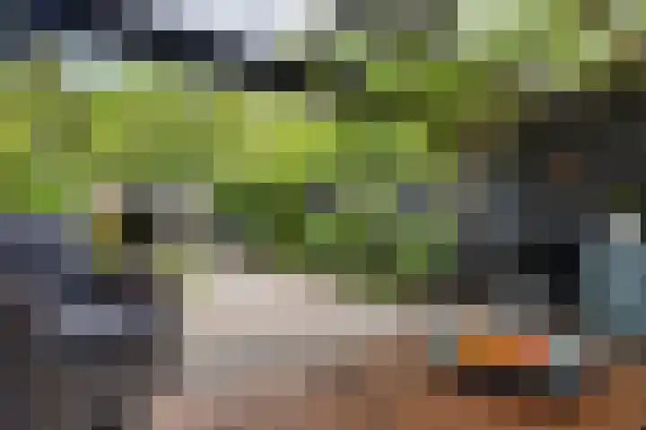 Iemstukken 140 Assen thumbnail 36