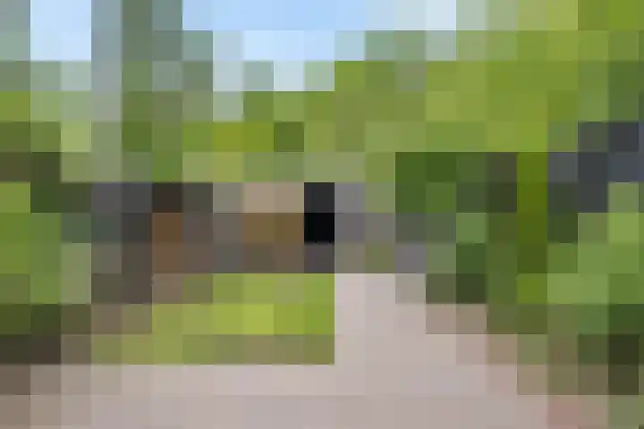 Iemstukken 140 Assen thumbnail 37