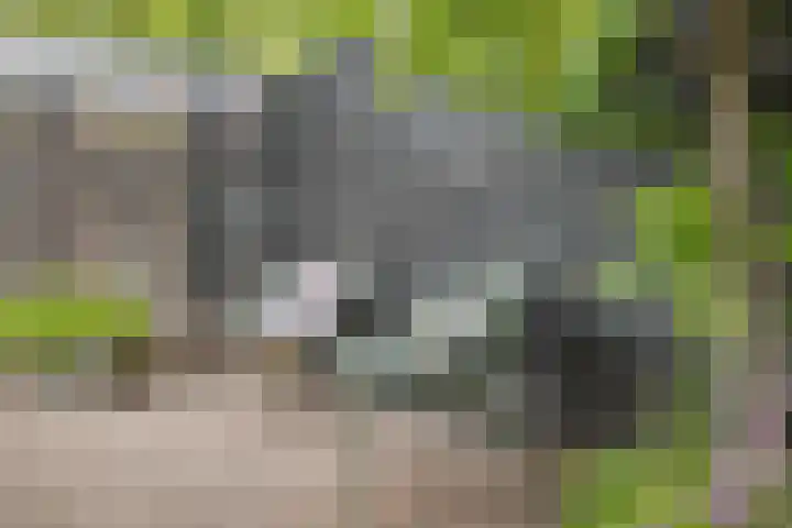 Iemstukken 140 Assen thumbnail 38