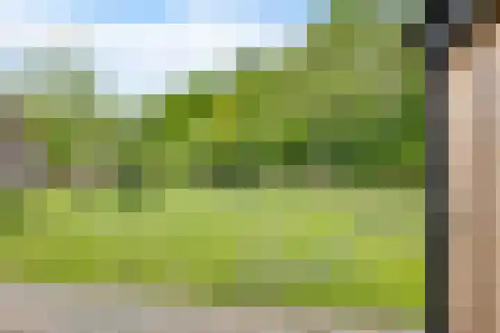Iemstukken 140 Assen thumbnail 41