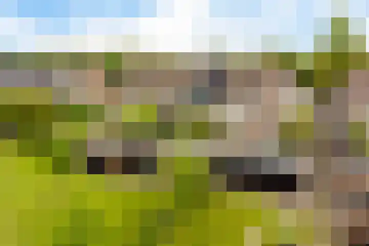 Iemstukken 140 Assen thumbnail 43