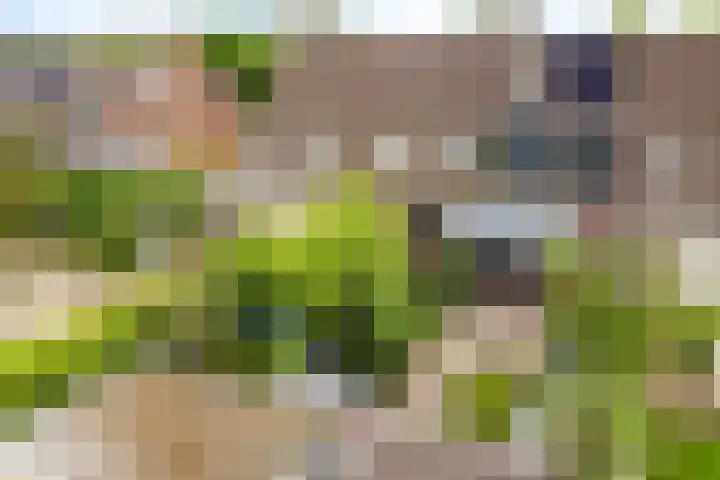Iemstukken 140 Assen thumbnail 44