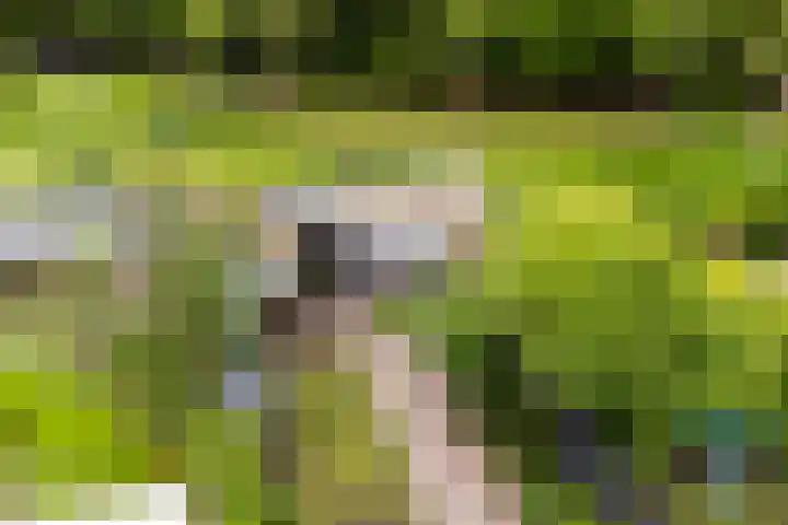 Iemstukken 140 Assen thumbnail 45