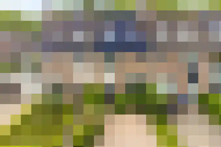 Iemstukken 140 Assen thumbnail 46