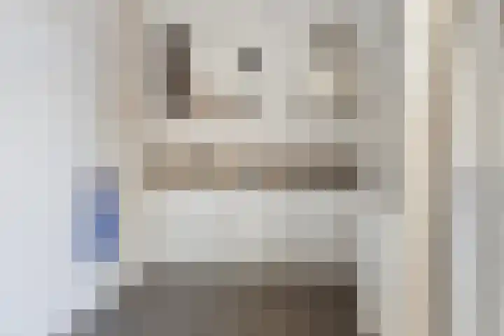 Iemstukken 22 Assen thumbnail 13