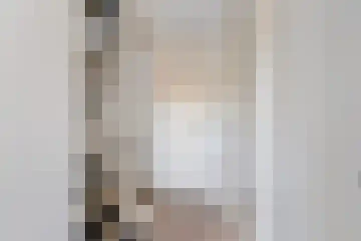 Iemstukken 22 Assen thumbnail 17