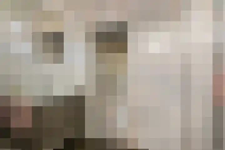 Iemstukken 22 Assen thumbnail 20
