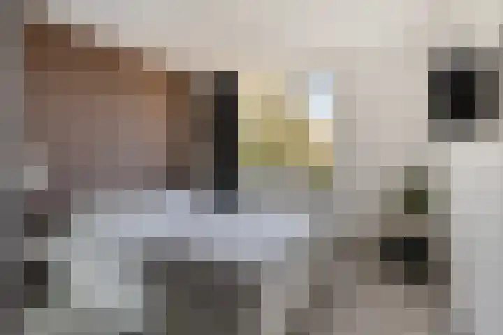 Iemstukken 22 Assen thumbnail 21