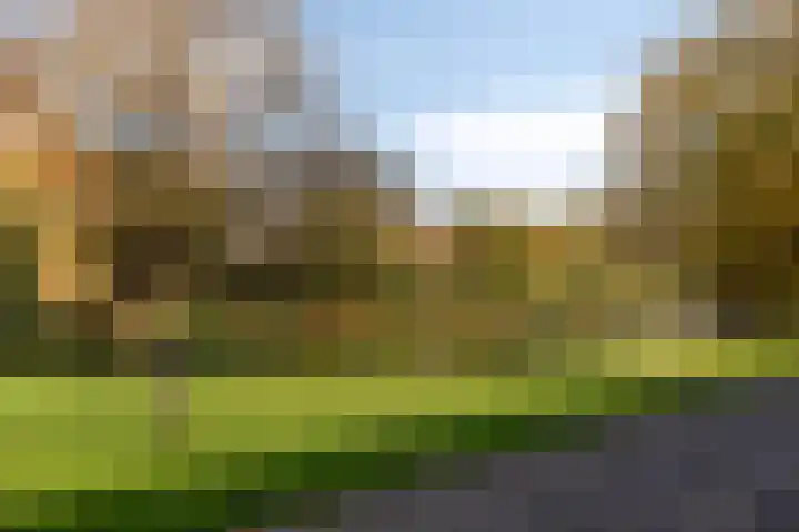 Iemstukken 22 Assen thumbnail 42