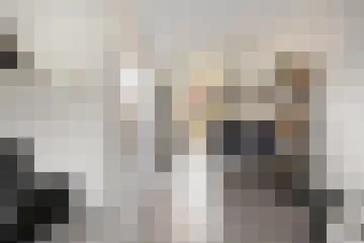 Iemstukken 22 Assen thumbnail 9