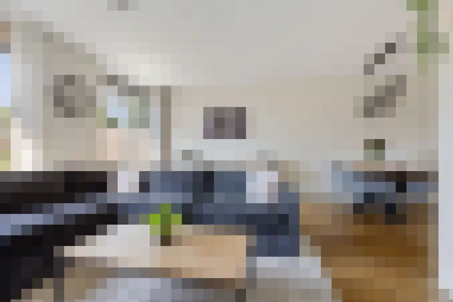 Iemstukken 63 Assen thumbnail 13