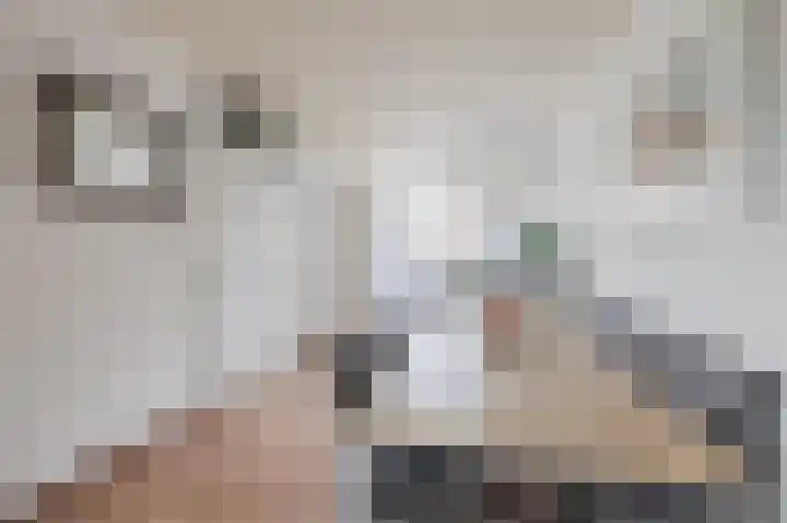 Iemstukken 66 Assen thumbnail 11