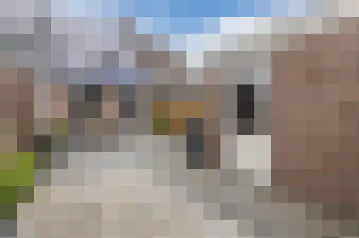 Iemstukken 66 Assen thumbnail 38