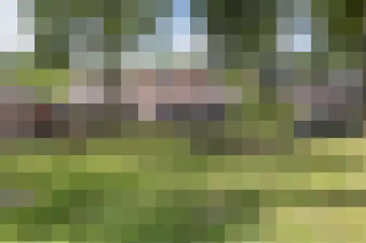 Iemstukken 66 Assen thumbnail 4