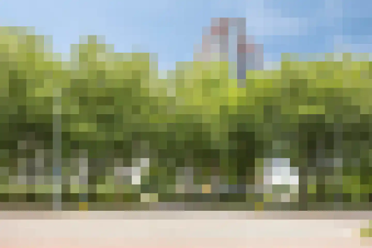 Ien Daleshof 15 Rotterdam thumbnail 38