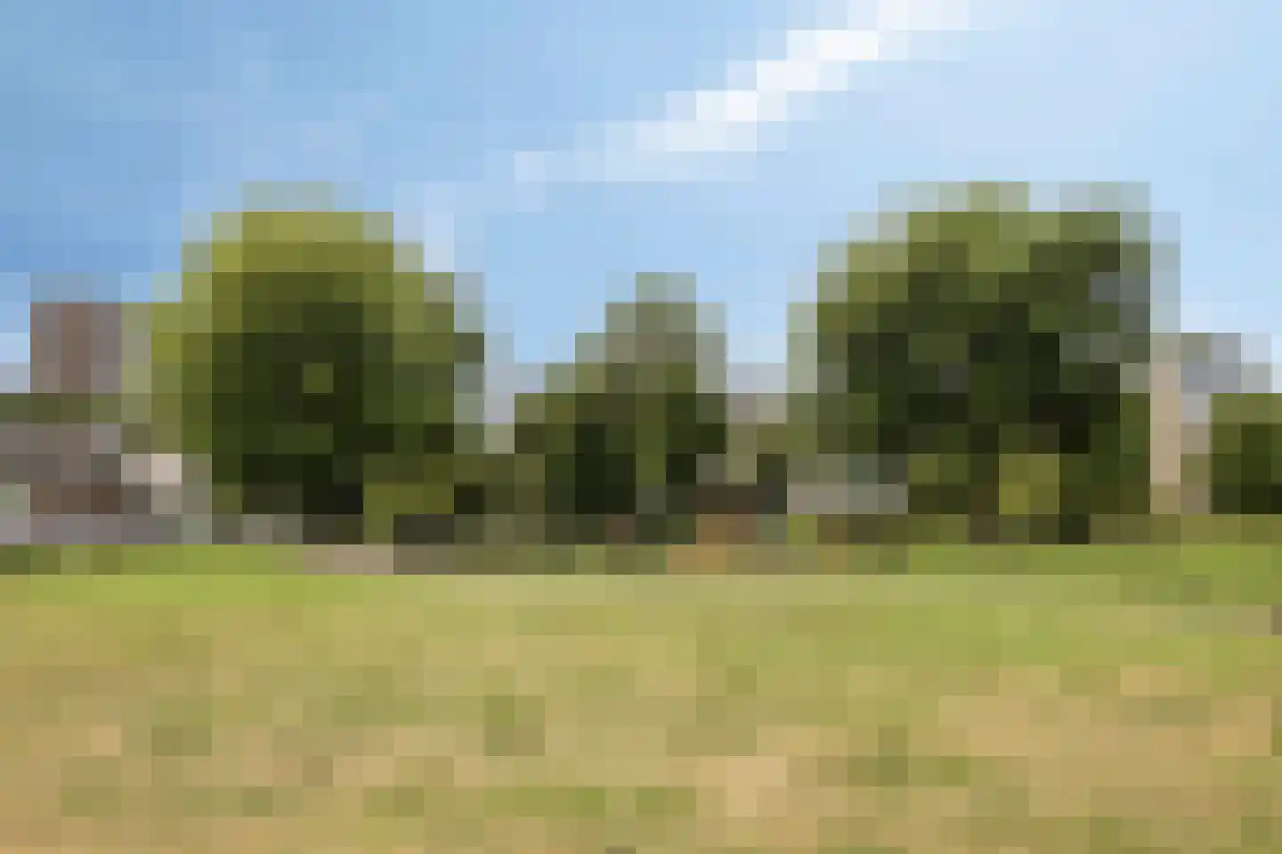 Ien Daleshof 15 Rotterdam thumbnail 41
