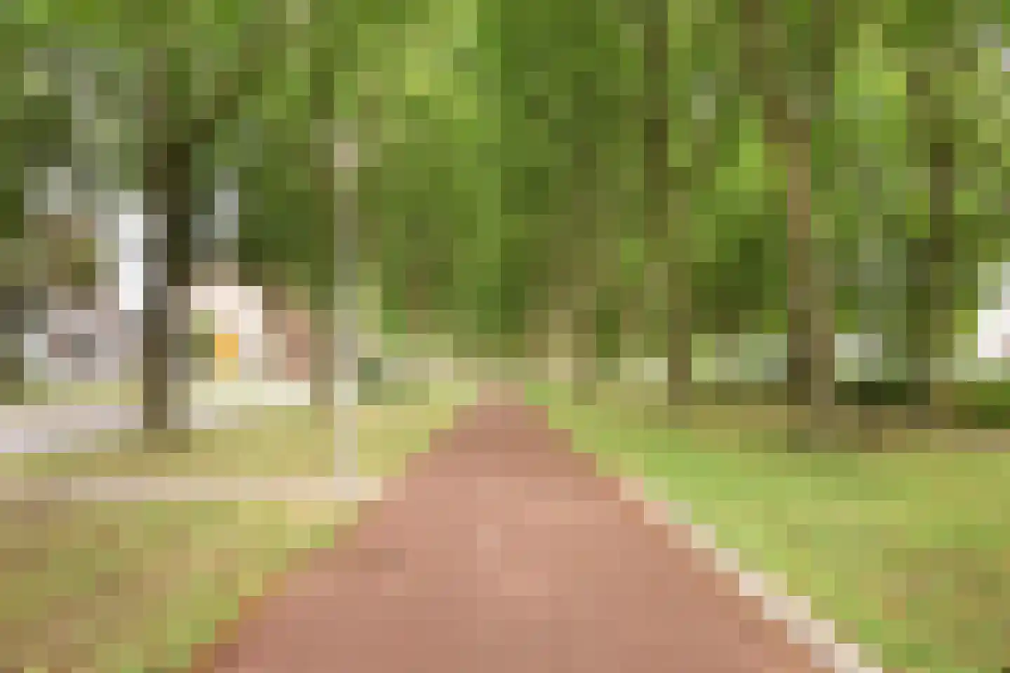 Ien Daleshof 15 Rotterdam thumbnail 43