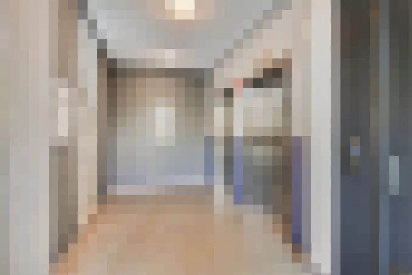 Ien Daleshof 19 Rotterdam thumbnail 27