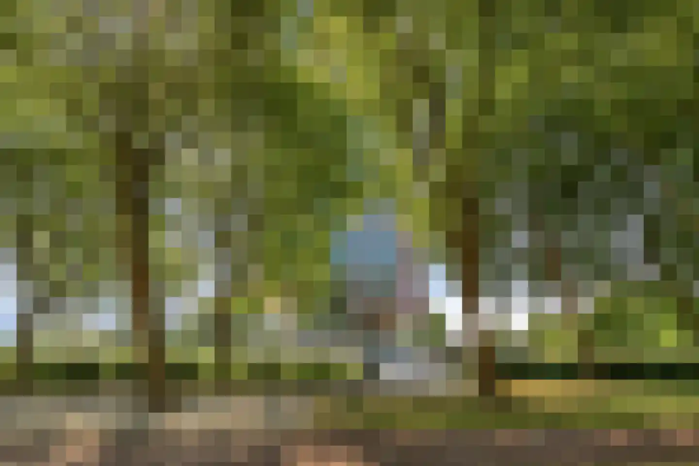 Ien Daleshof 19 Rotterdam thumbnail 32