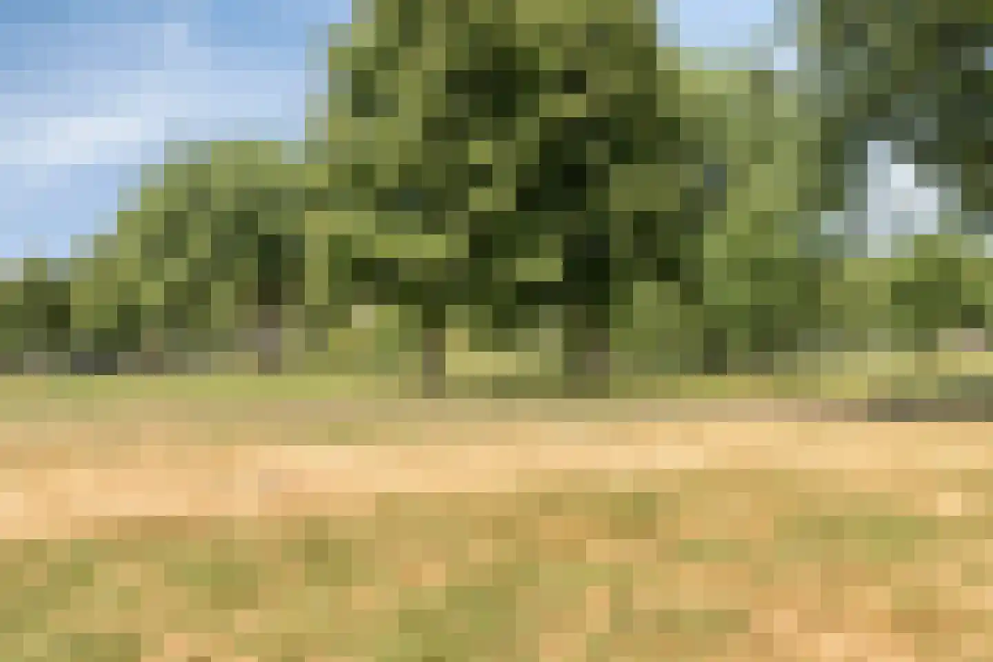 Ien Daleshof 19 Rotterdam thumbnail 33