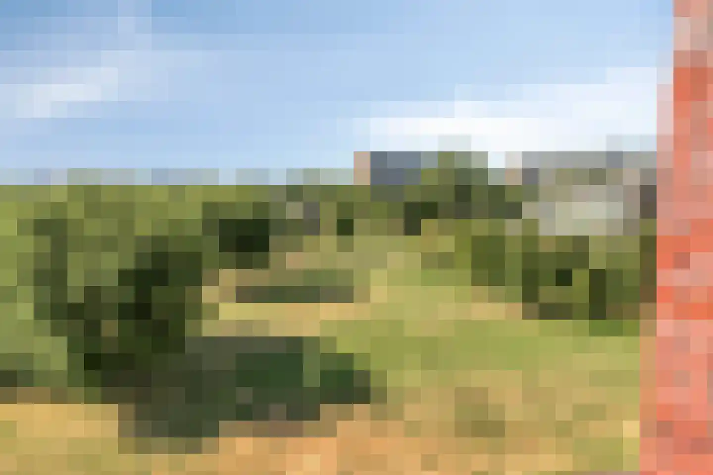 Ien Daleshof 19 Rotterdam thumbnail 6