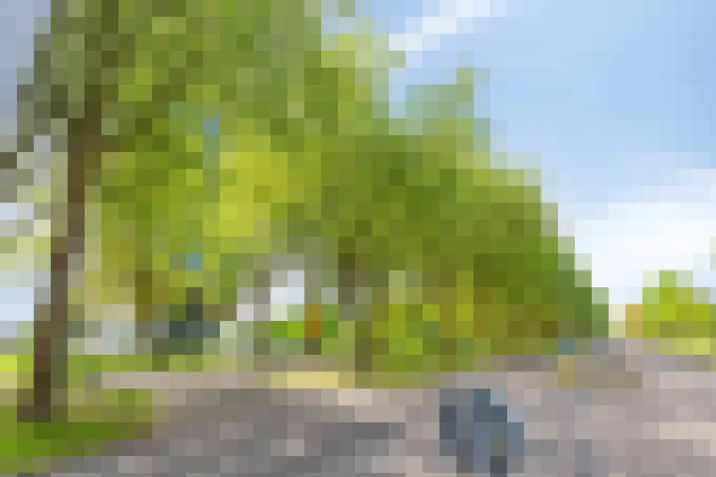 Ien Daleshof 28 Rotterdam thumbnail 36