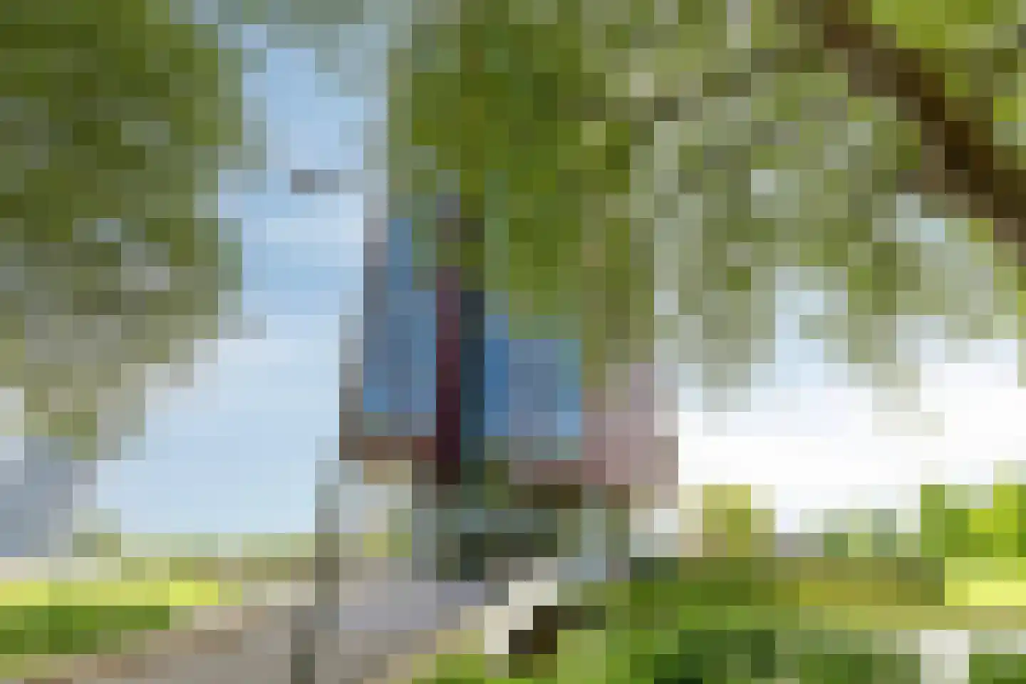 Ien Daleshof 28 Rotterdam thumbnail 37