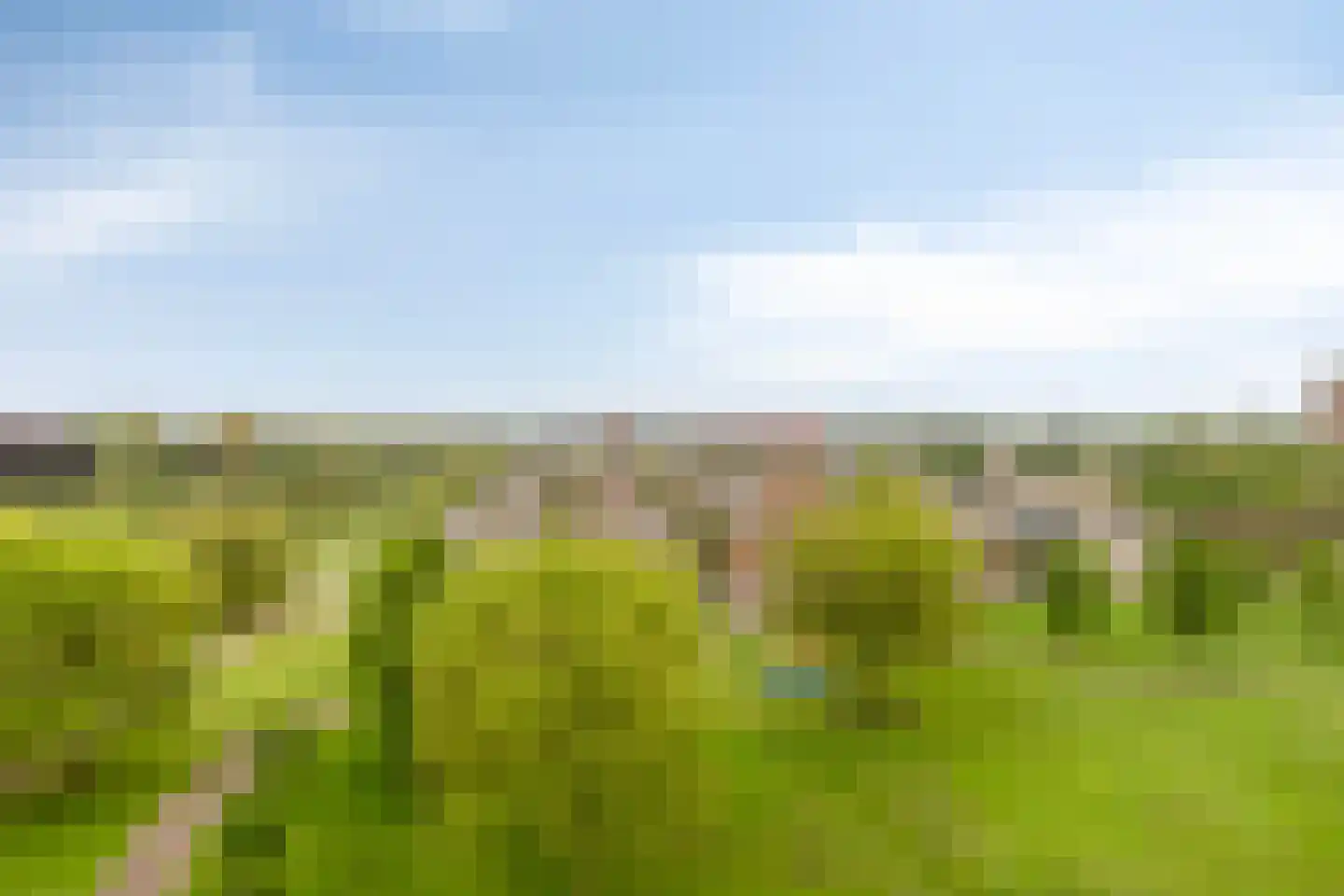 Ien Daleshof 28 Rotterdam thumbnail 39